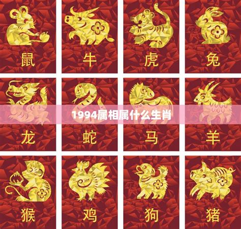 1974 属相|74年属于什么属相的 1974年出生的人属相是什么